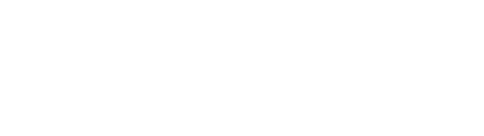 プロフェッショナルサービス